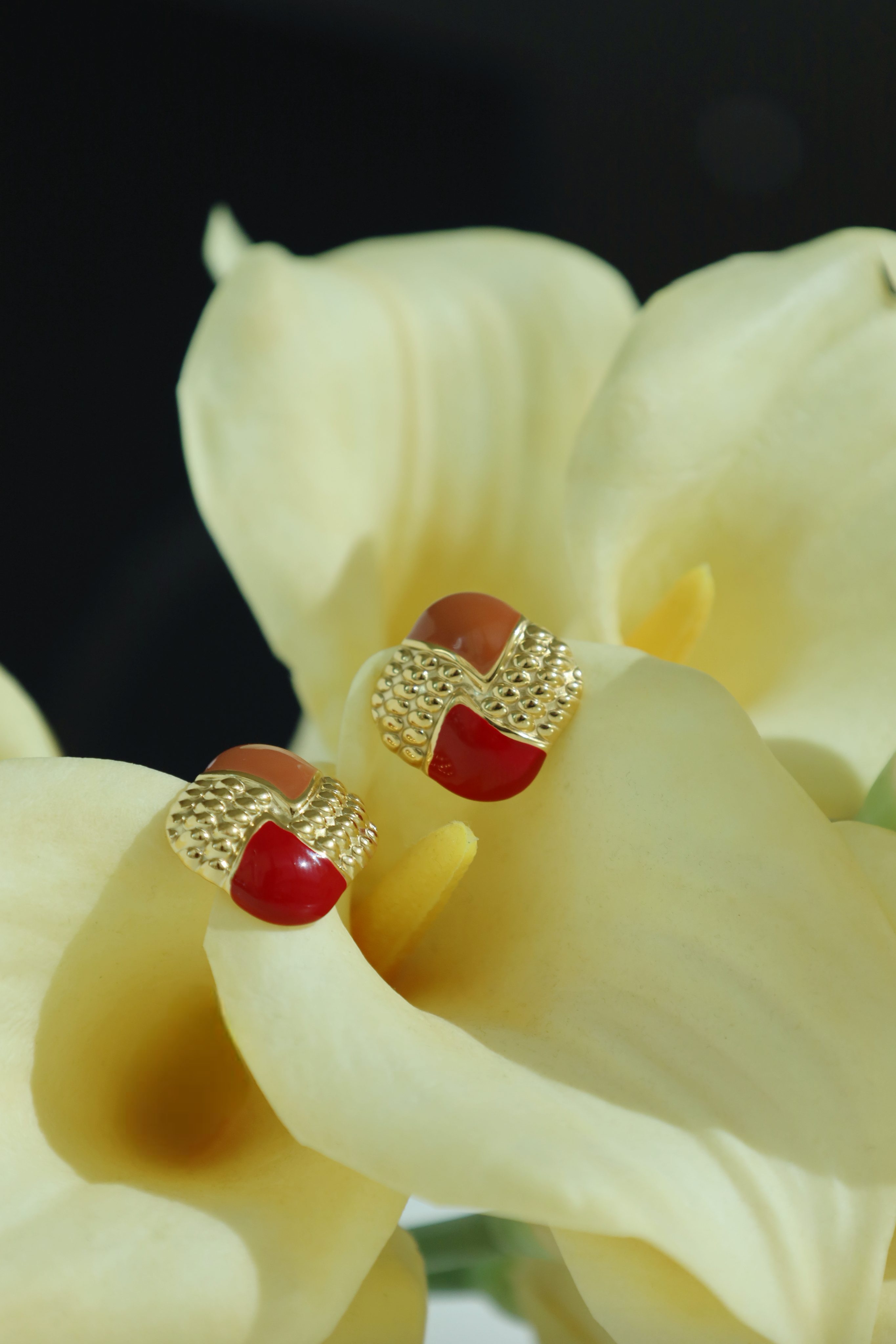 Color Block Stud Earrings