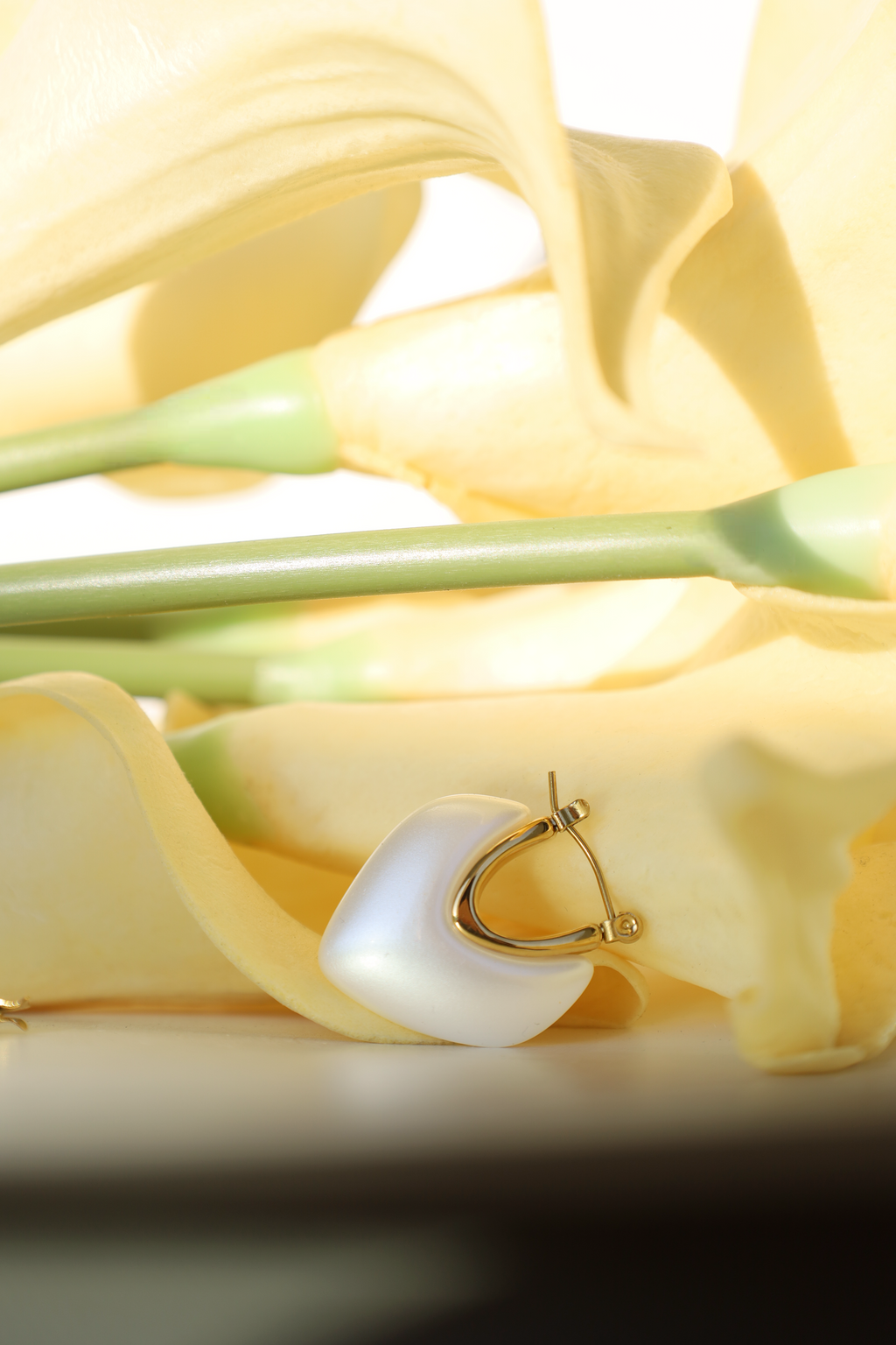 Heart Shell Drop Earrings