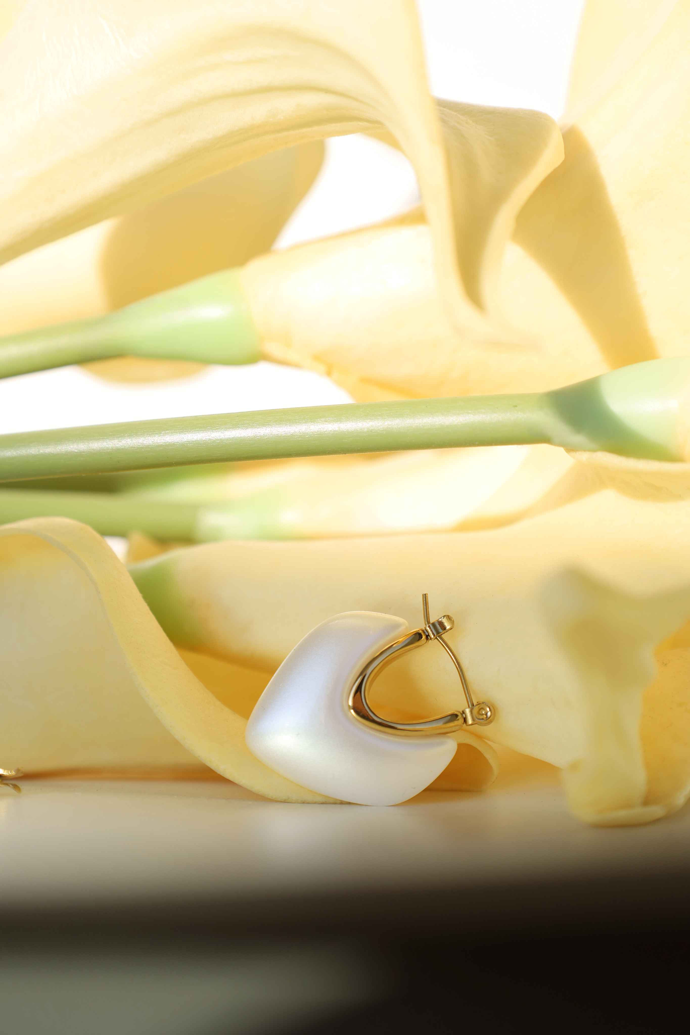 Heart Shell Drop Earrings