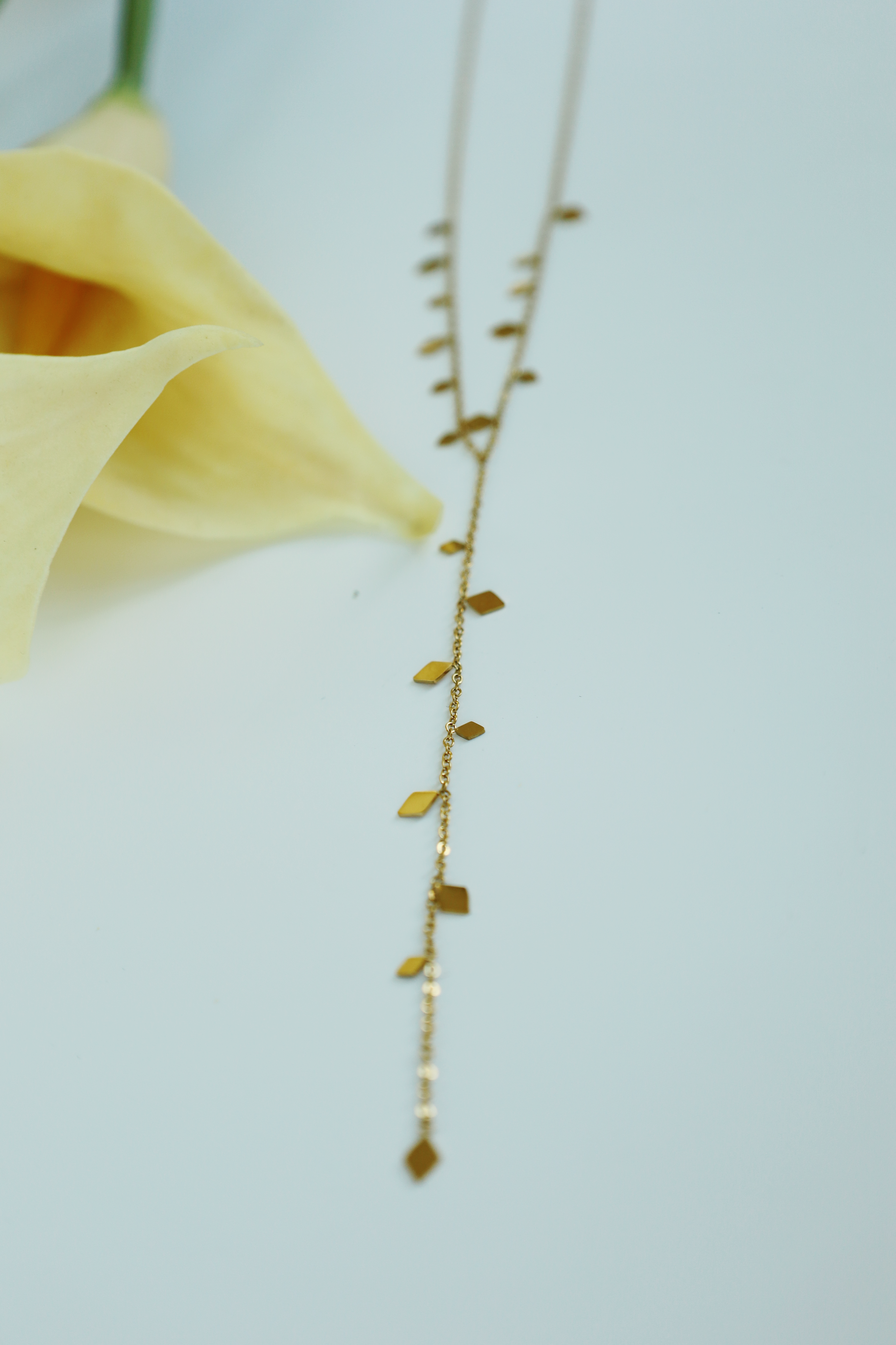 Tiny Drop Y Necklace