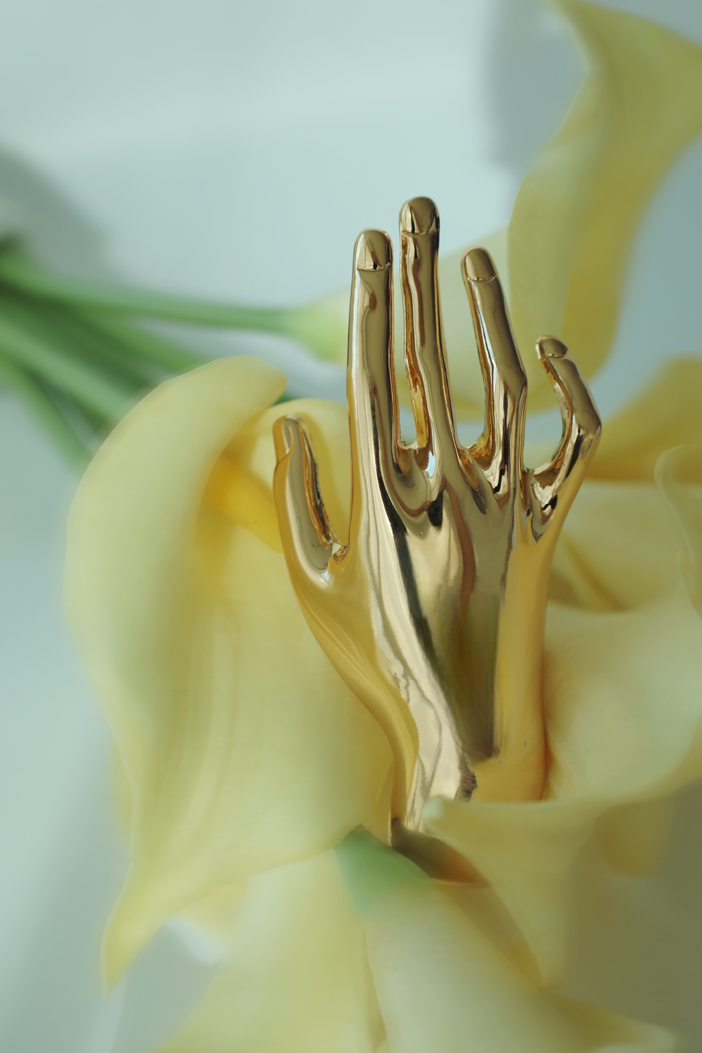 The Muse Hand Brooch