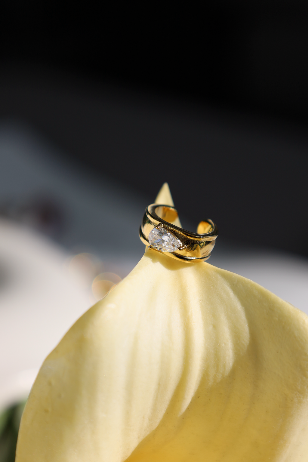 Crystal Ear Cuff Set (2 Pieces)