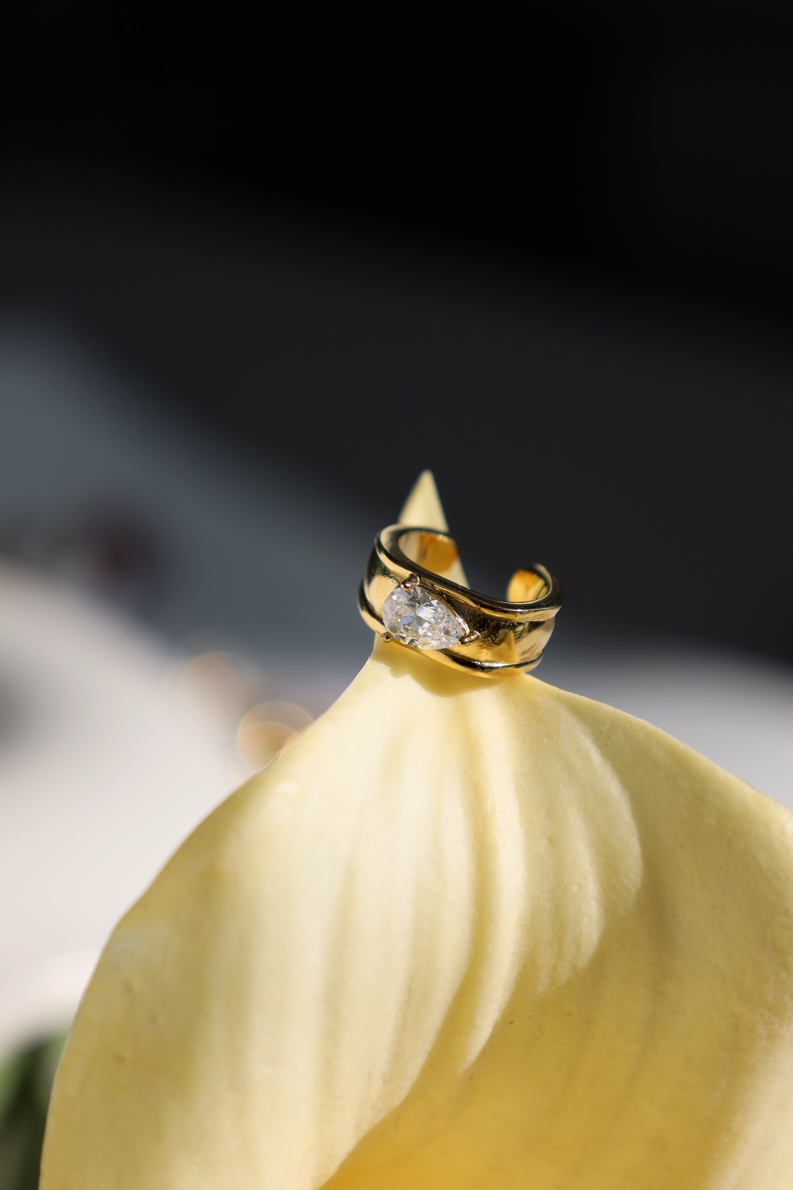 Crystal Ear Cuff Set (2 Pieces)