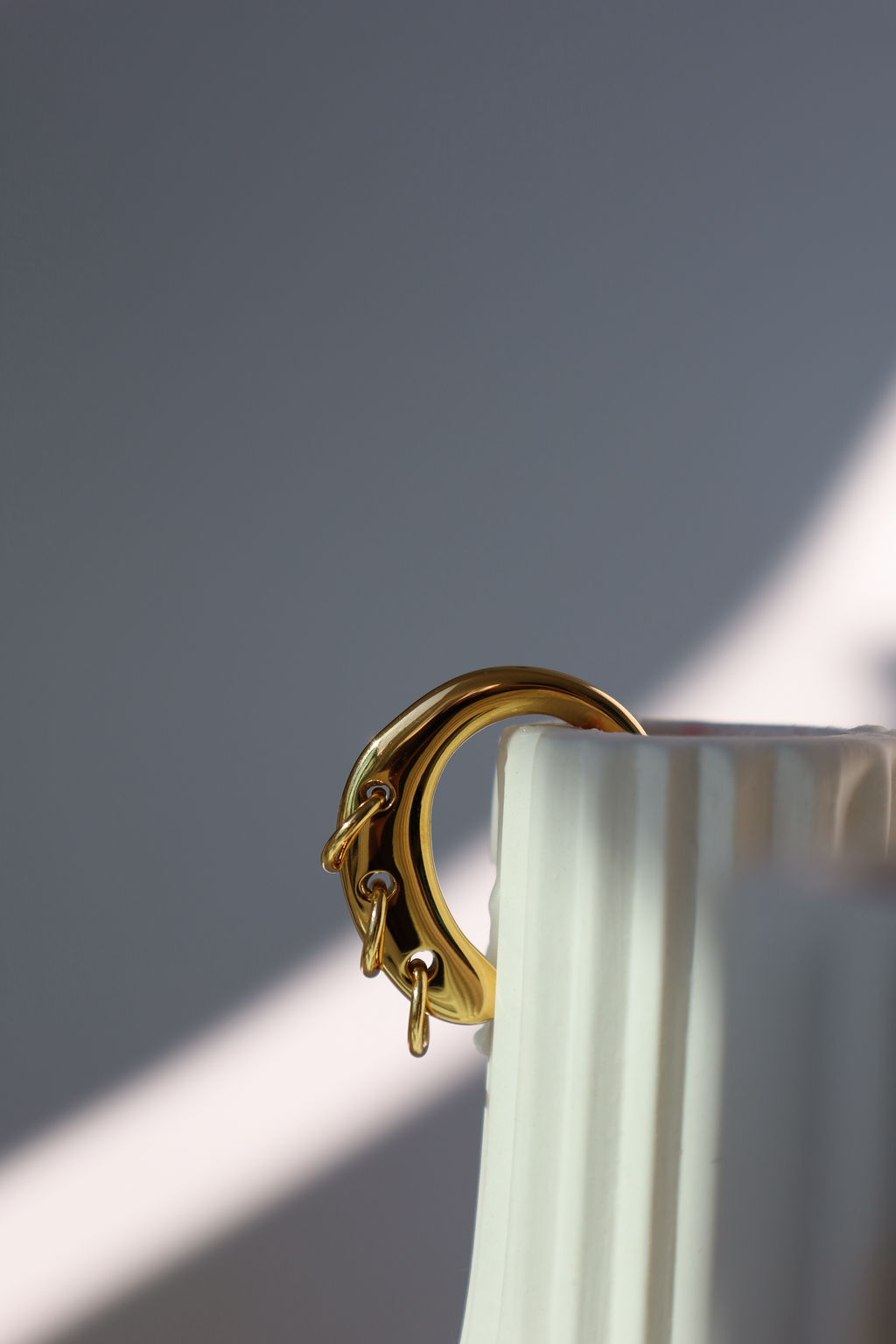 Chunky Curved Hoop Drop Earrings with Dangling Rings