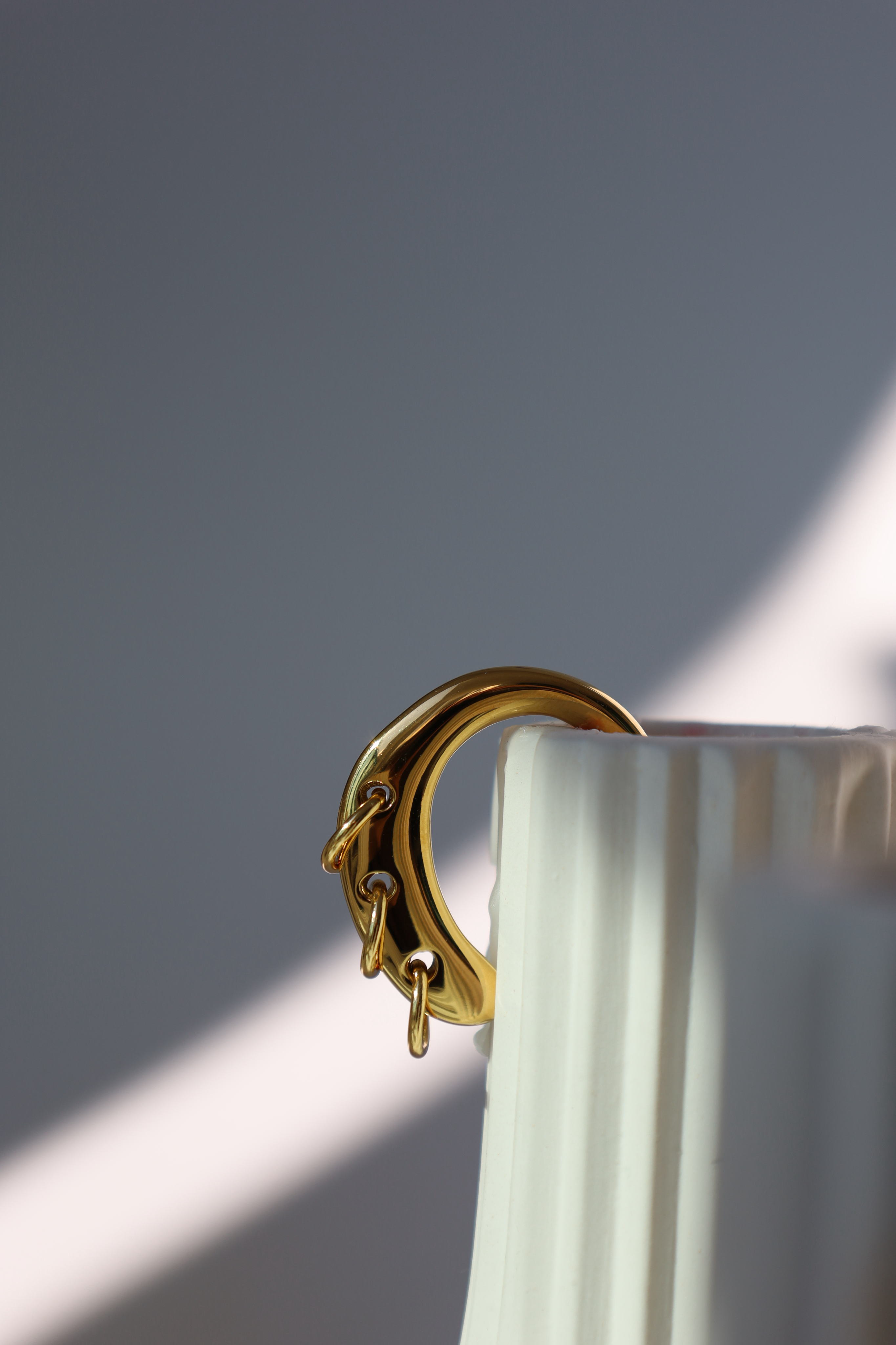 Chunky Curved Hoop Drop Earrings with Dangling Rings