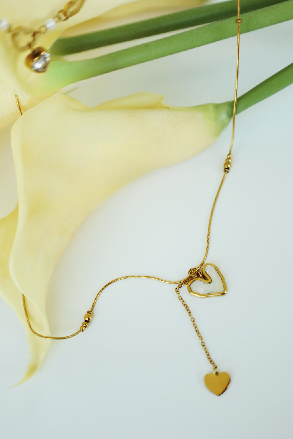 Double Layer Heart drop Necklace