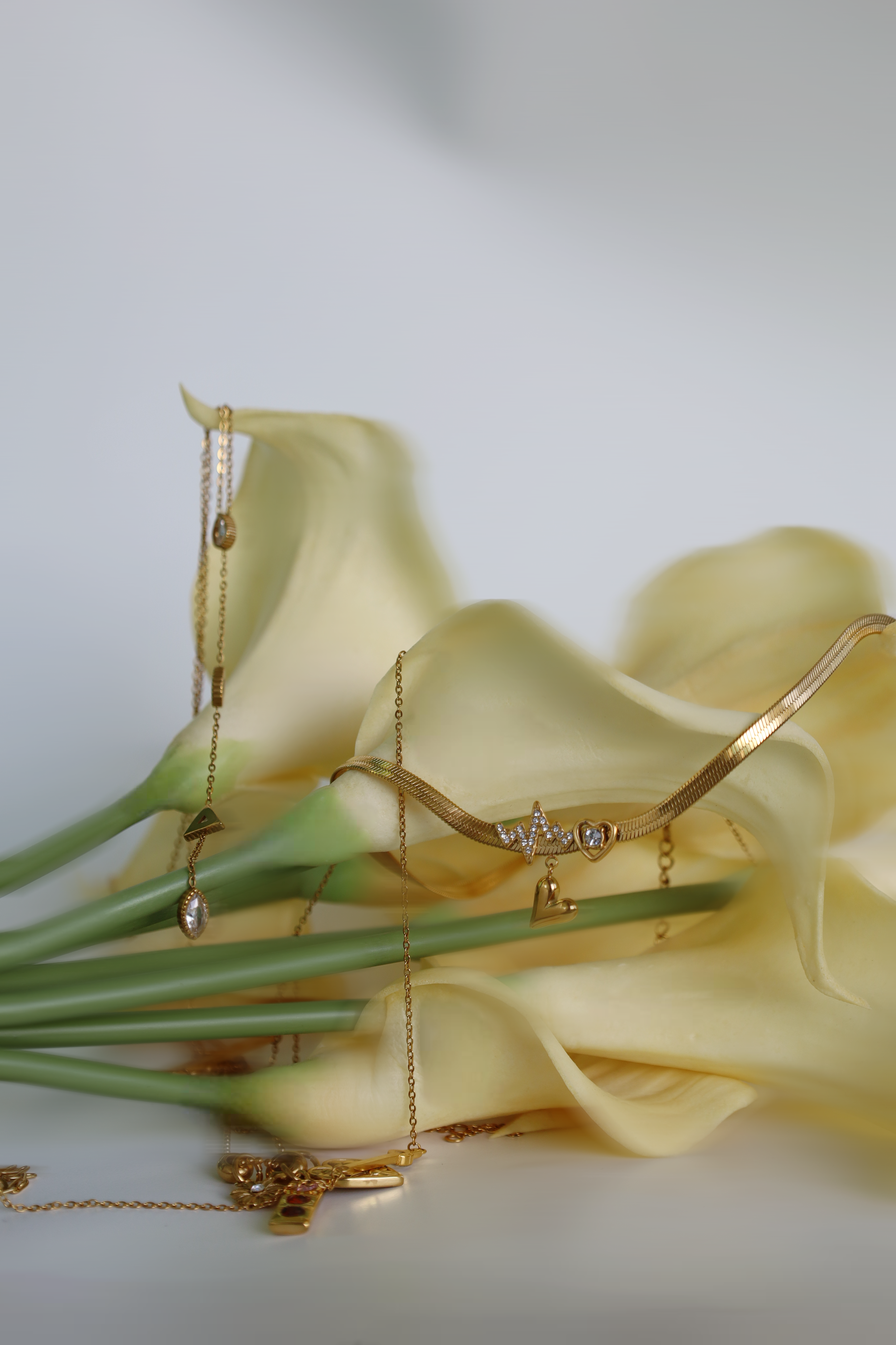 Heartbeat Line & Heart Charm Necklace