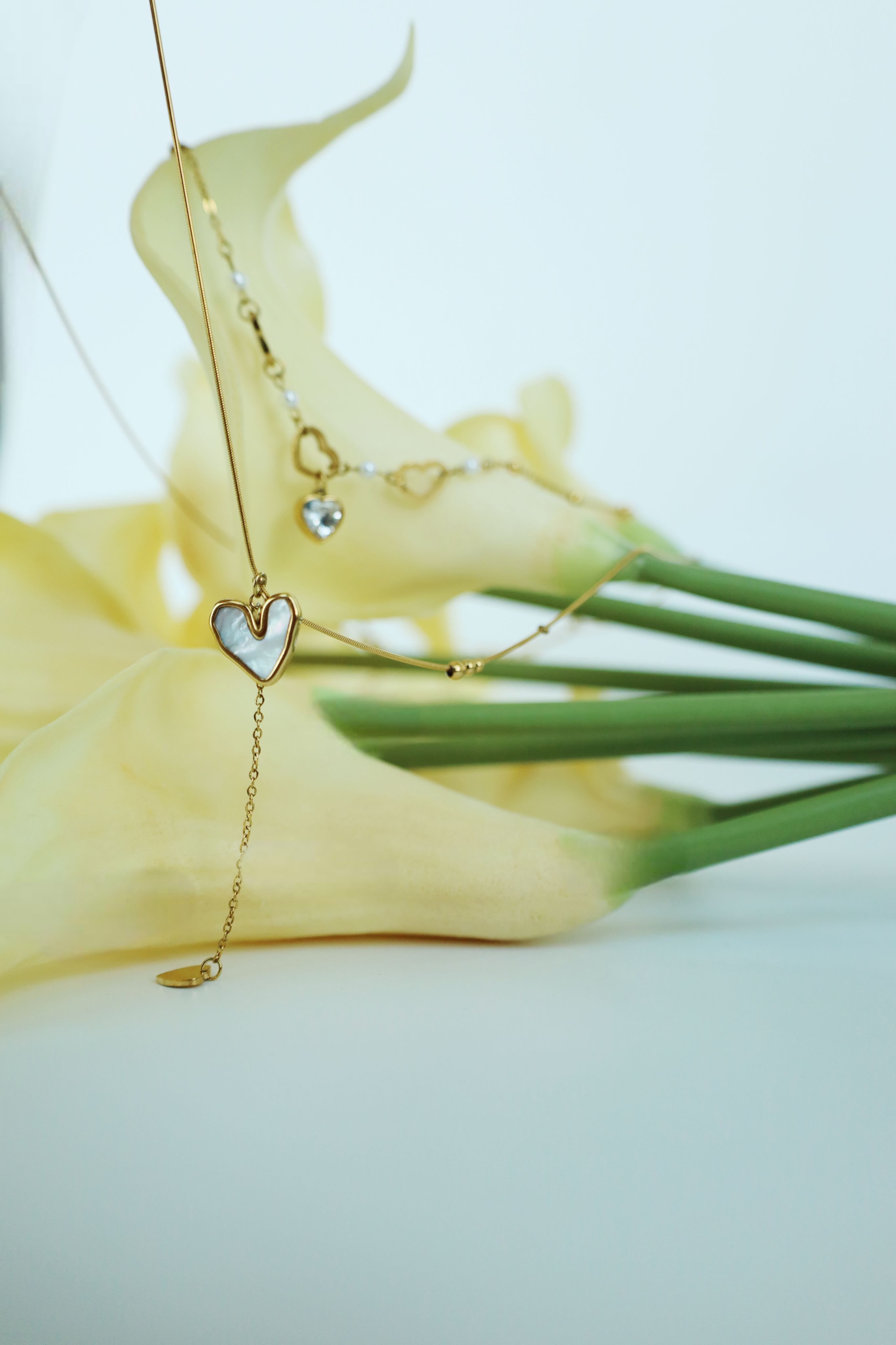 Double Layer Heart drop Necklace