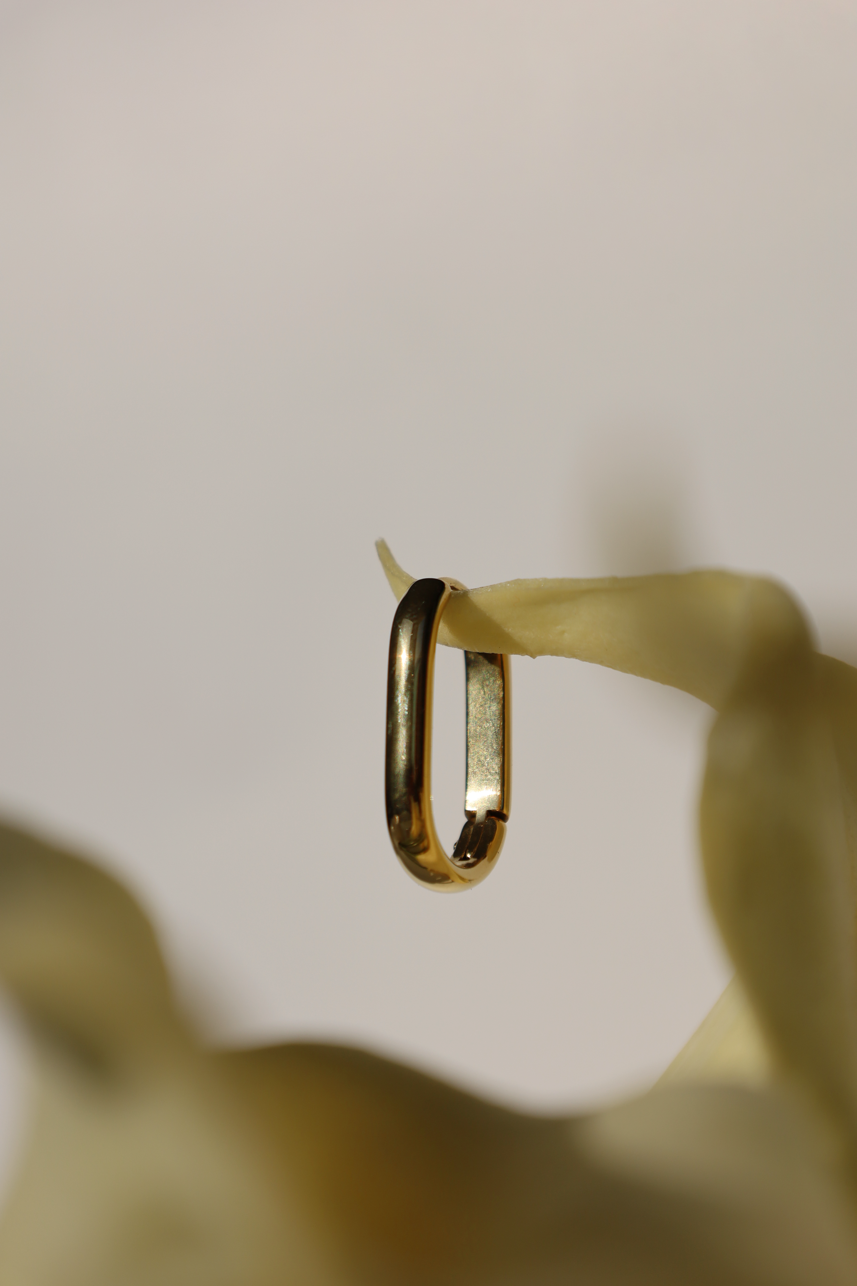 Sleek Oval Hoop Earrings