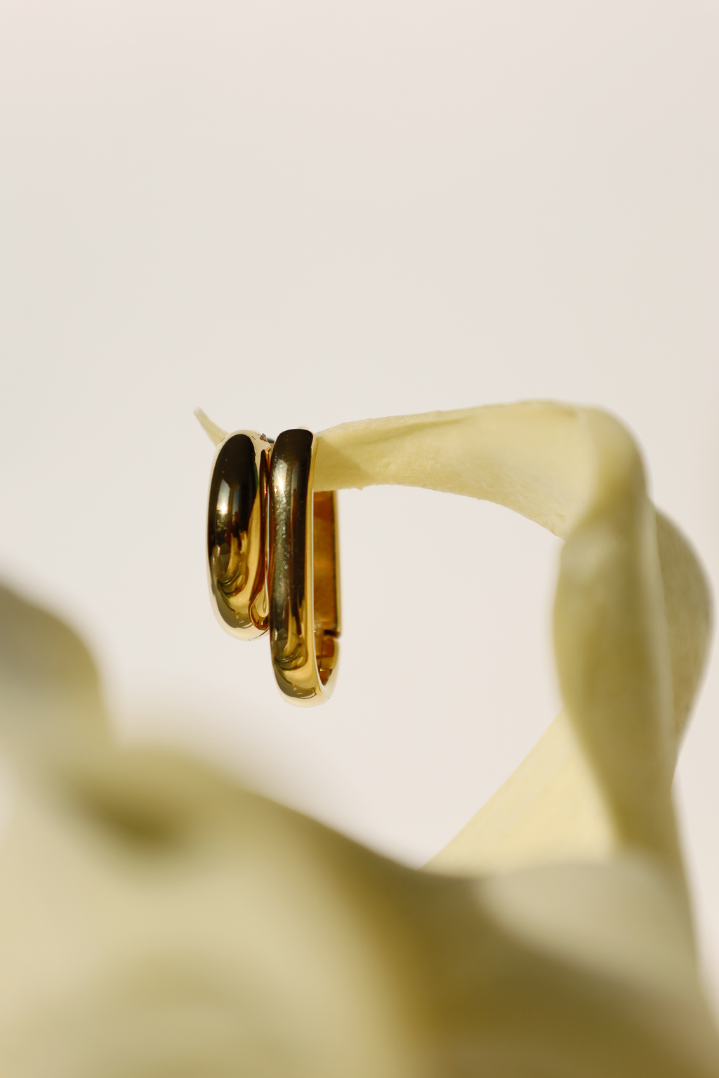 Sleek Oval Hoop Earrings