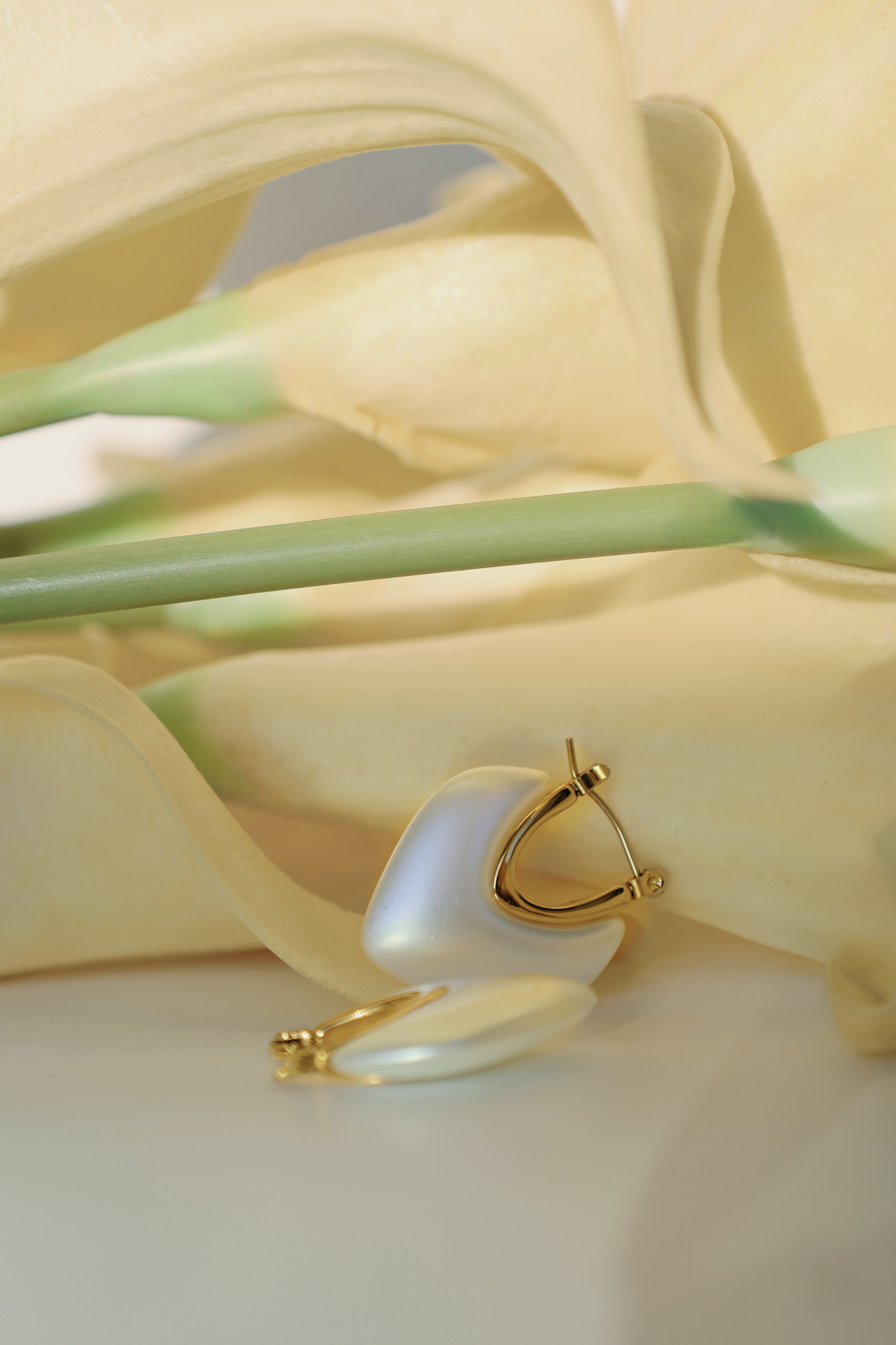 Heart Shell Drop Earrings