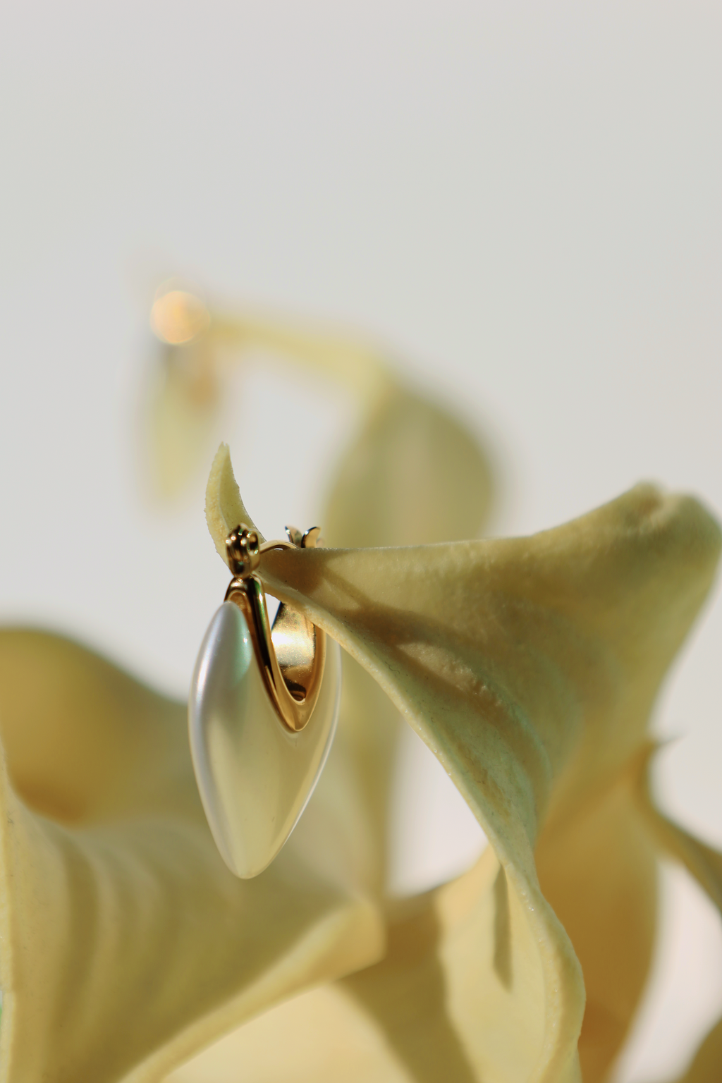 Heart Shell Drop Earrings