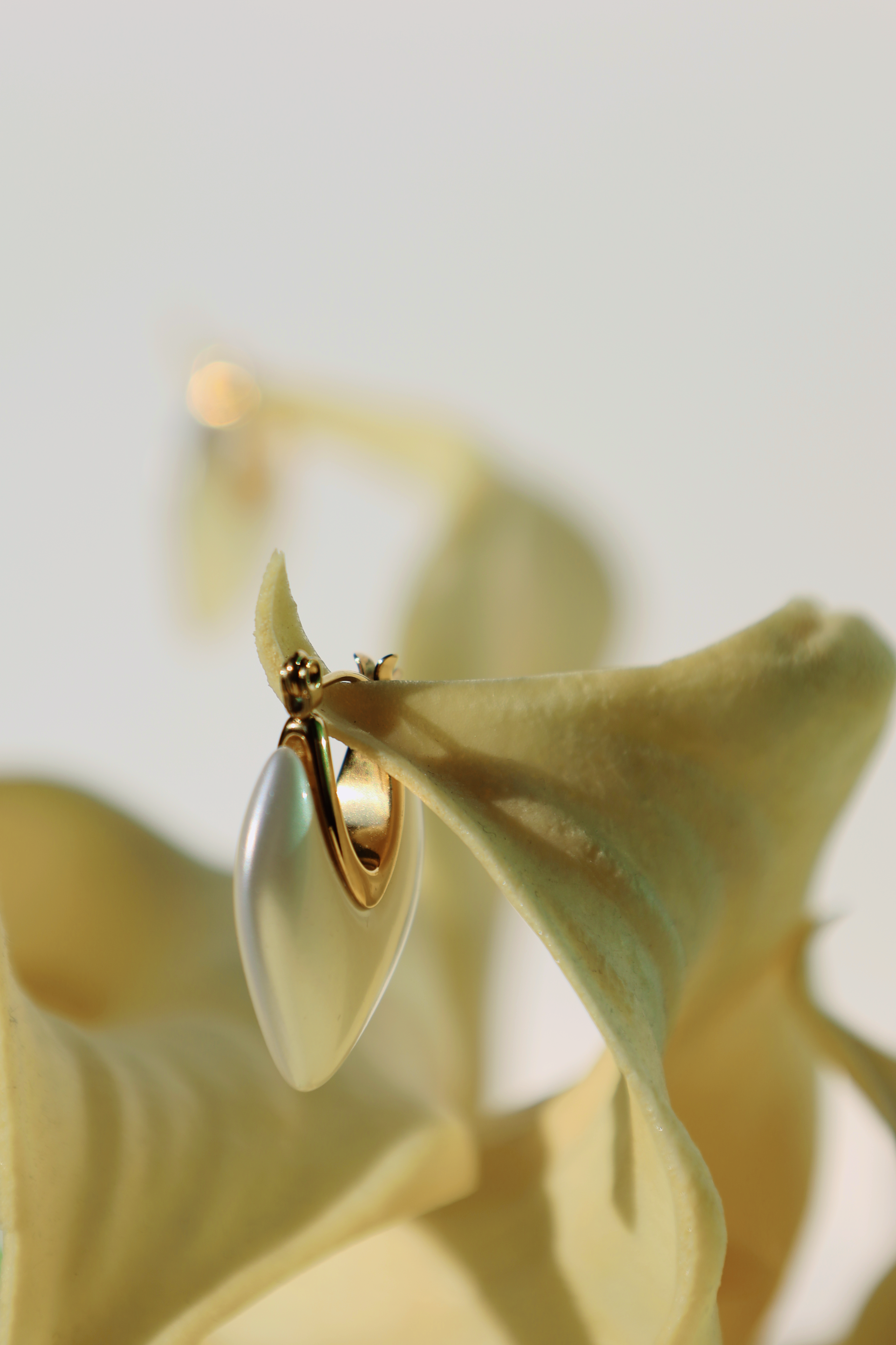 Heart Shell Drop Earrings