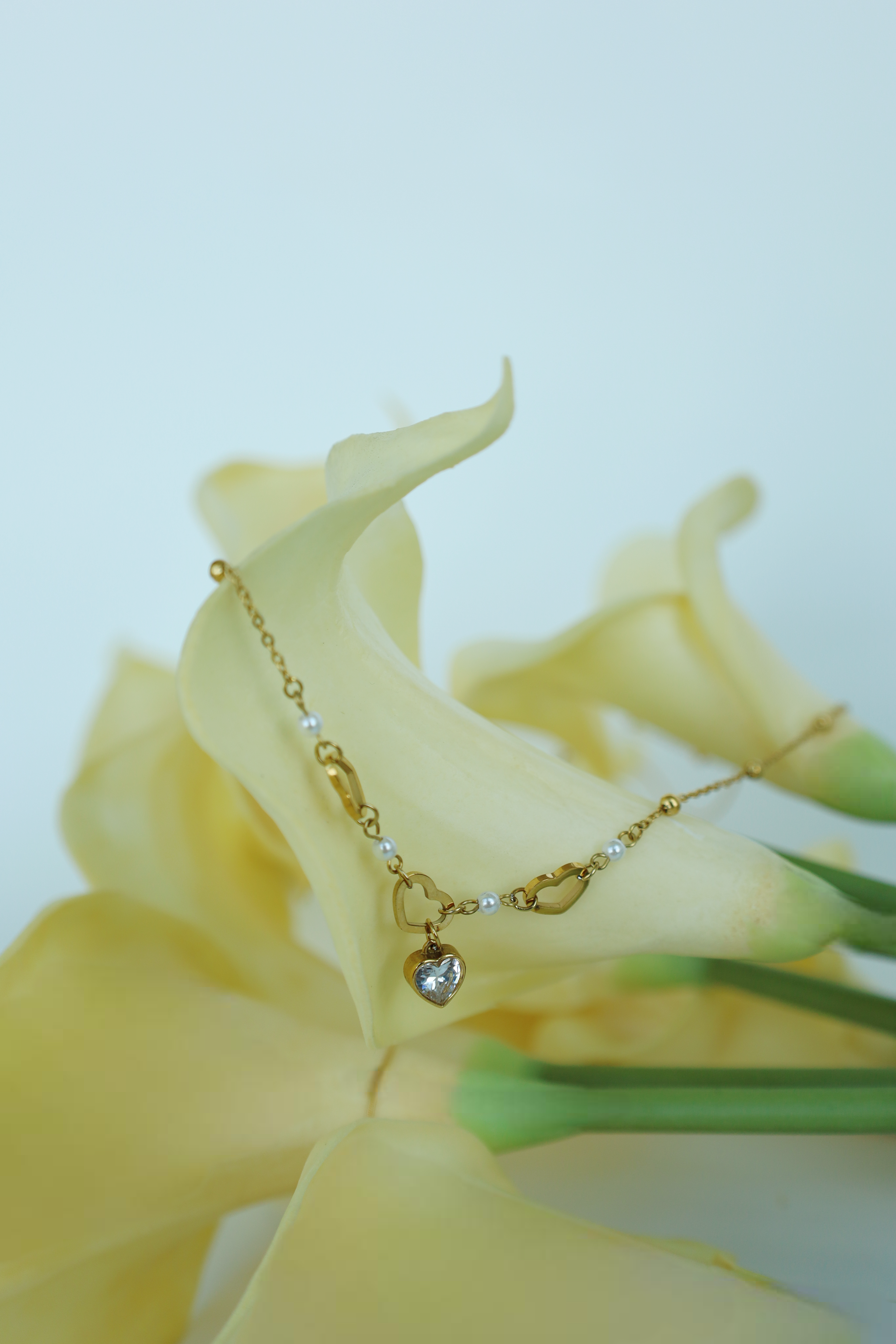 Double Layer Heart drop Necklace